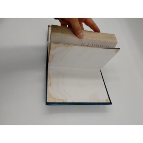 Magnus Chase And The Gods Of Asgard, The Ship Of The Dead 3 (Rick Riordan) 2017 - Picture 7 of 11